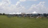 Image_8.JPG (91765 bytes)