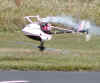 P1010009-small.jpg (74372 bytes)